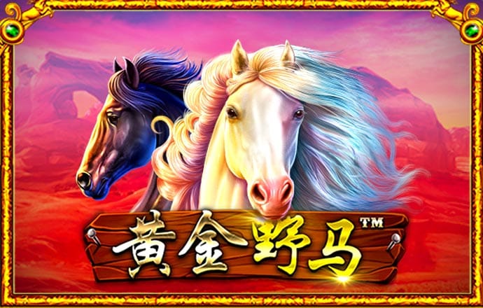 355cc娱乐彩票官网